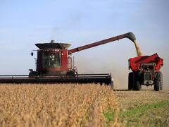 Menos sojización: suben trigo y maíz y será récord la rotación de cultivos en 2019-2020