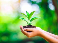 En una jornada alcista, Ence sube a lo más alto tras presentar balance