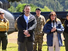Petri desplegará militares en la frontera para realizar tareas de Gendarmería: podrán detener civiles