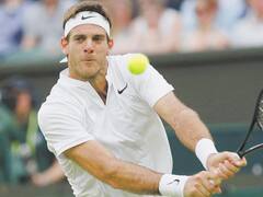 Del Potro venció al ruso Shapovalov y volvió a ser "Top Ten"