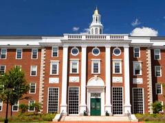 Este es el trabajo más sexy del siglo 21, según Harvard y Google: hay sueldos de $ 170.000