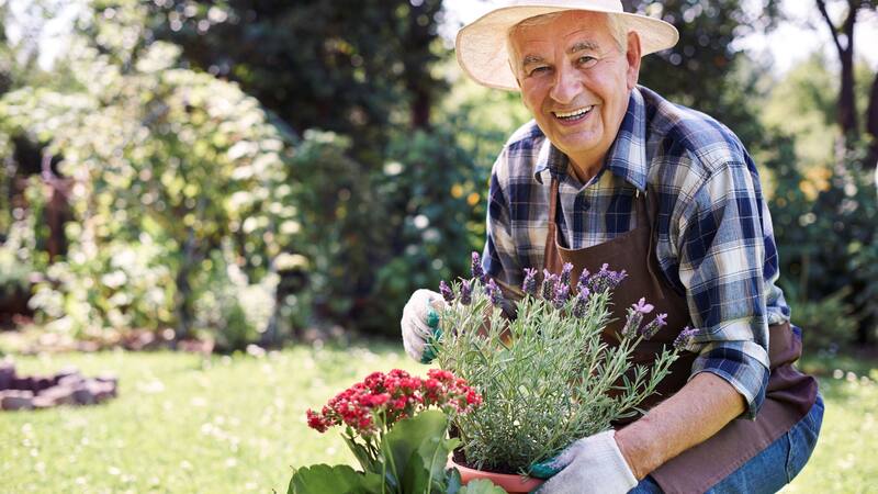 El truco puede ayudar a que tus plantas crezcan y hasta den frutos. (Foto: Freepik.es)