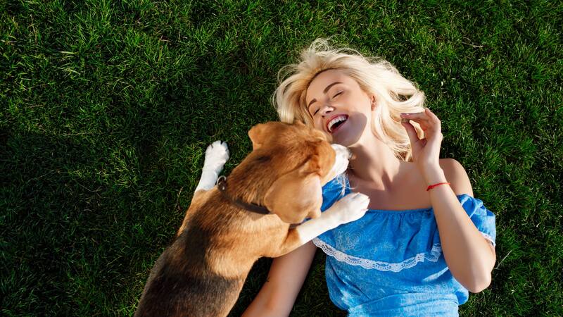 Conocé el perro perfecto para tu signo.