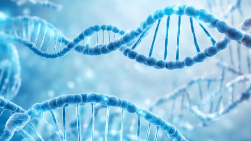 La evolución humana no tiene fin y no merece ser estudiado. (Foto: archivo)