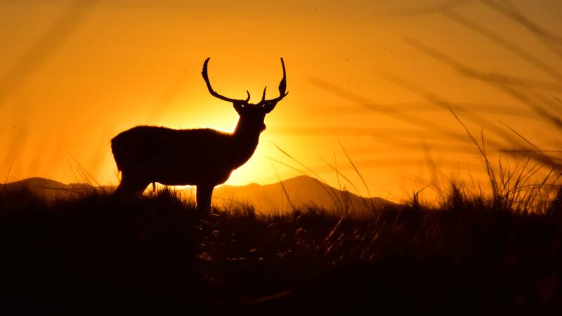 Un pequeño pueblo bonaerense ofrece aventuras al aire libre en un entorno natural privilegiado.
