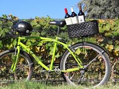 Escapadas: la "ruta del vino" cordobesa que tenés que conocer