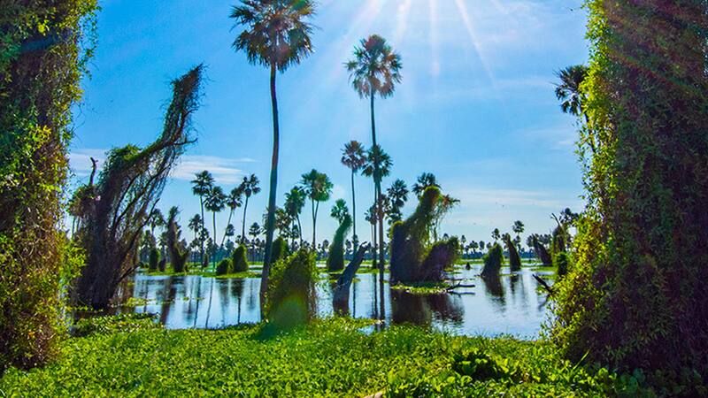 <div class="migrated-promo-image__description"><div class="migrated-promo-image__source">Fuente: formosahermosa.gob.ar</div></div>