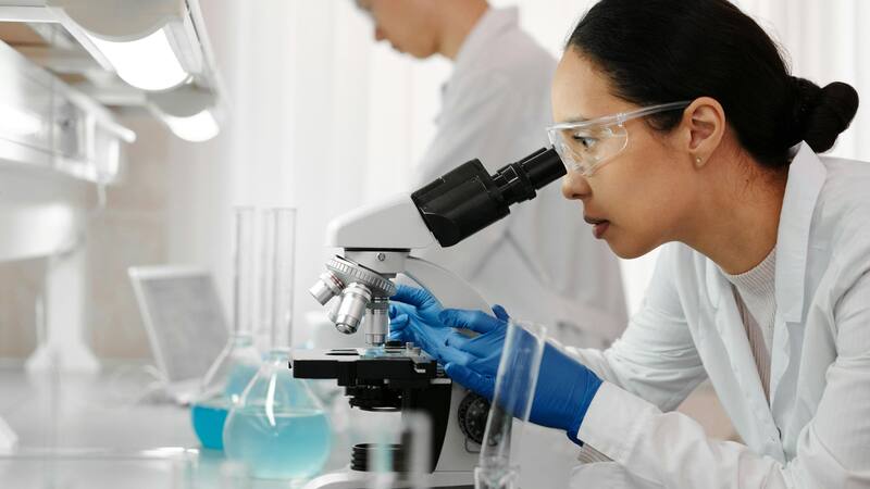 Un descubrimiento científico reciente reveló el papel fundamental de estos mamíferos en la preservación de los ecosistemas naturales.