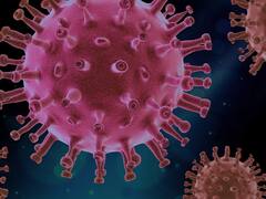 Alerta Covid-19, la nueva cepa Kraken ya llegó a España: ¿cuáles son los síntomas?