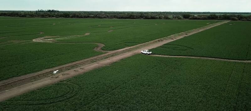 Mega Alfalfa planea expandirse en varios países del continente asiático.