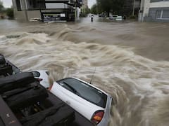 El estudio de 3 décadas que anticipó mejor que ninguno la catástrofe de Bahía Blanca