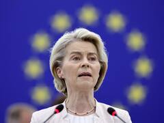 Guerra comercial: la UE toma represalias ante los aranceles de Trump y abre una puerta a la soja argentina