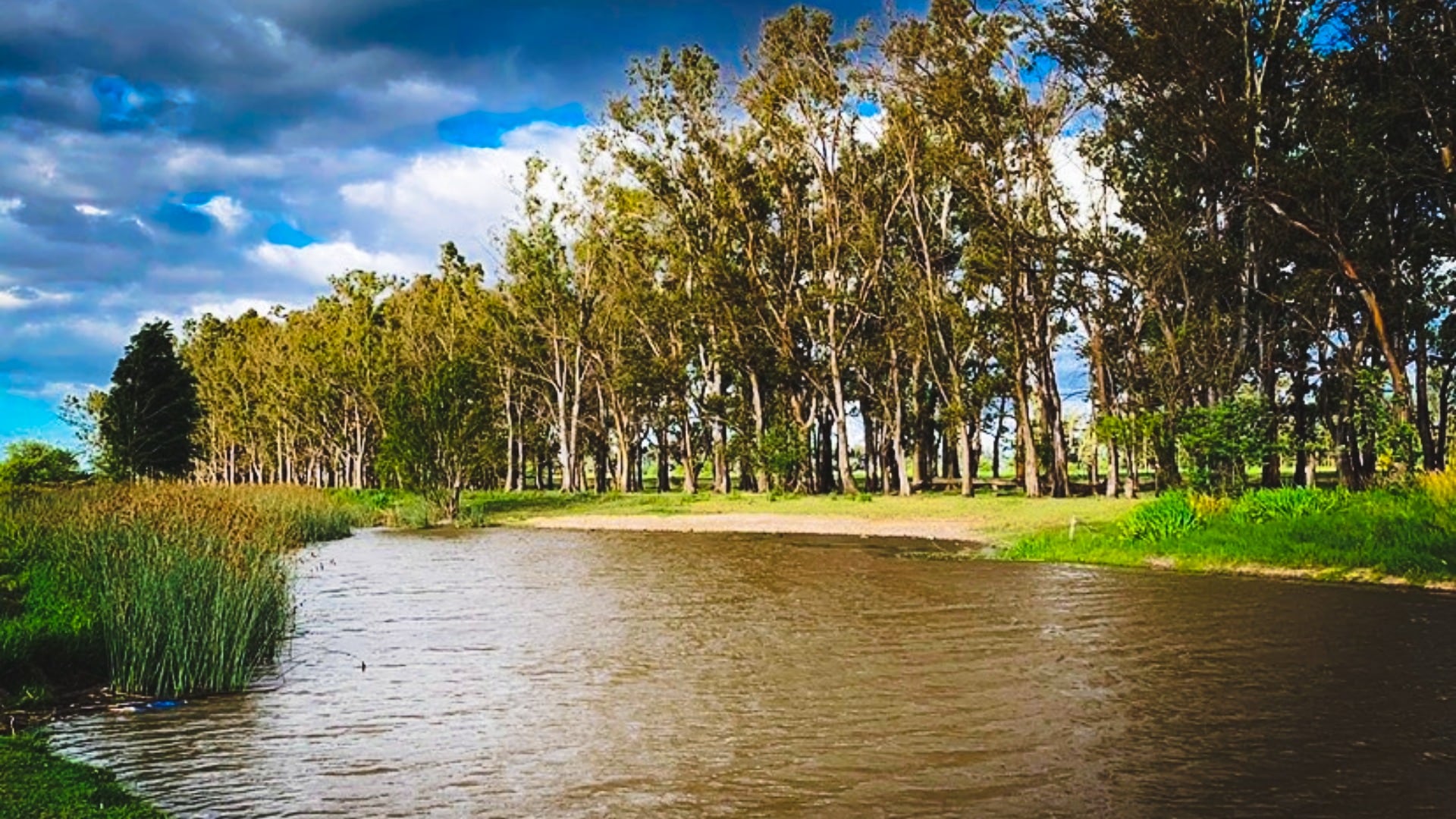 El arroyo es otro de los atractivos poco conocidos de Villa Ruiz. Foto: @villaruizturismo.