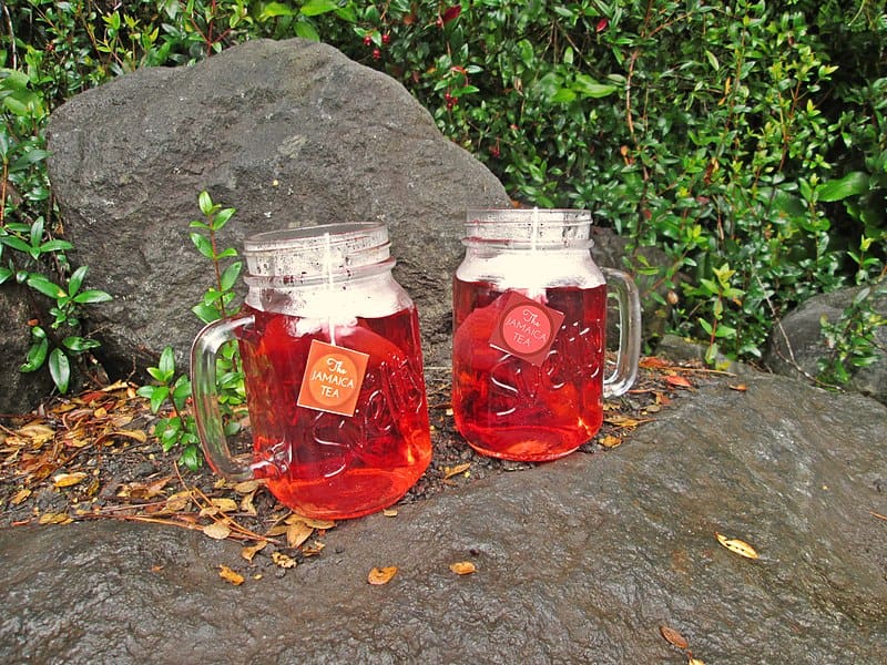 El té hibisco, una flor vistosa que, tomada en infusión, dispone de diversos beneficios para la salud, también es conocida como té de jamaica. Fuente: Wikipedia.