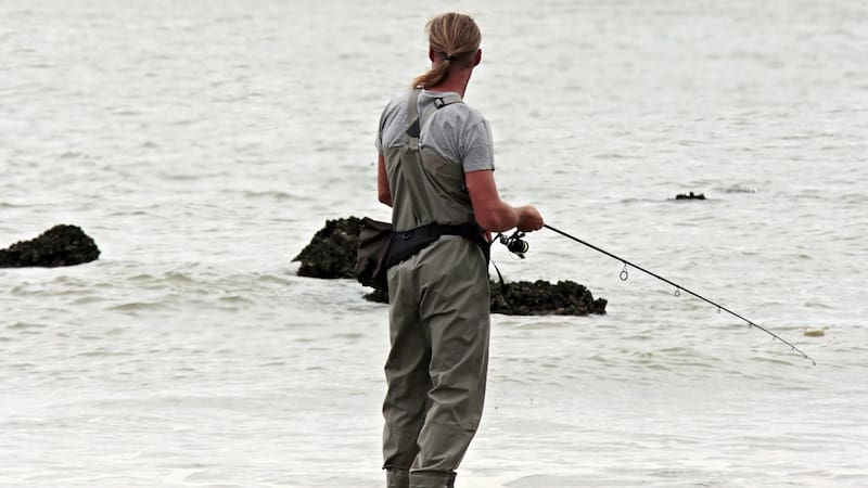 <div class="migrated-promo-image__description"><div class="migrated-promo-image__source">Fuente: Pixabay</div></div>