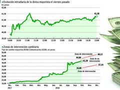 Esperan un dólar firme que desafíe el techo que defiende el Central