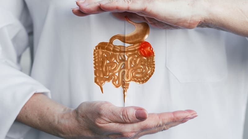 <div class="migrated-promo-image__description"><div class="migrated-promo-image__source">Fuente: FreePik</div></div>