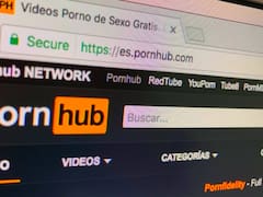 ¿Te lo esperabas? Esta es la categoría para adultos más buscada en Estados Unidos