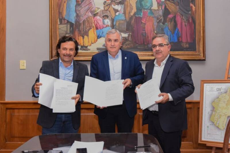 Jujuy conforma uno de los principales polos productivos del "oro blanco".