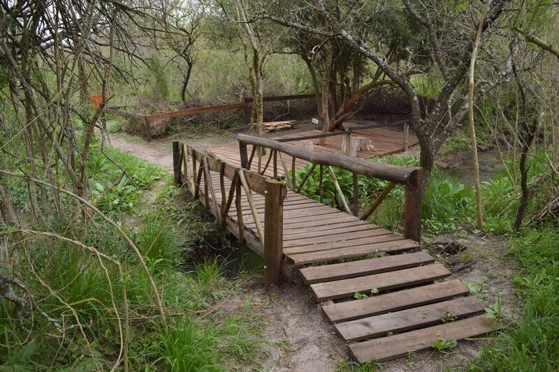 La naturaleza que rodea a las Termas de Chajarí permite disfrutar de 2 senderos icónicos. (Fuente: termaschajari.tur.ar)