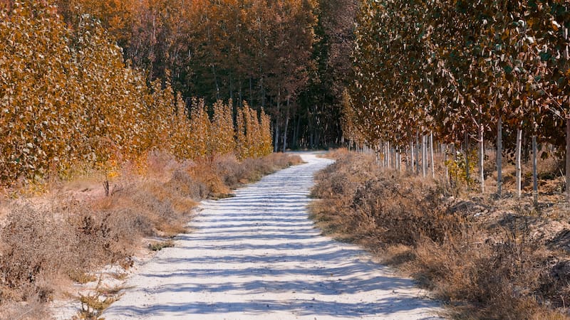 Este municipio granadino fue hogar de uno de los poetas españoles más famosos.