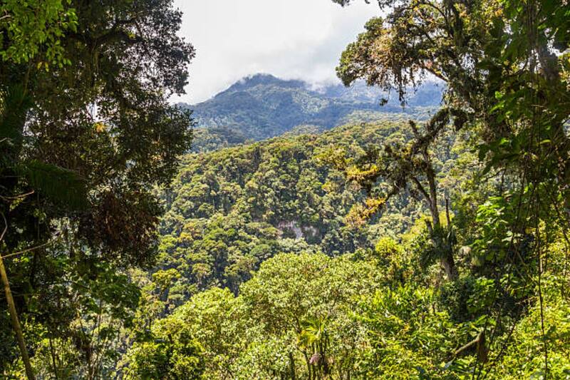 Para llegar a este rincón de Colombia se requiere tiempo, planificación y una gran dosis de respeto por la naturaleza (Fuente: iStock).