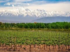 Por bloqueo sindical, las bodegas perdieron dos días de producción