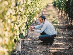 Enólogos estrella: quiénes son los creadores de los mejores vinos argentinos