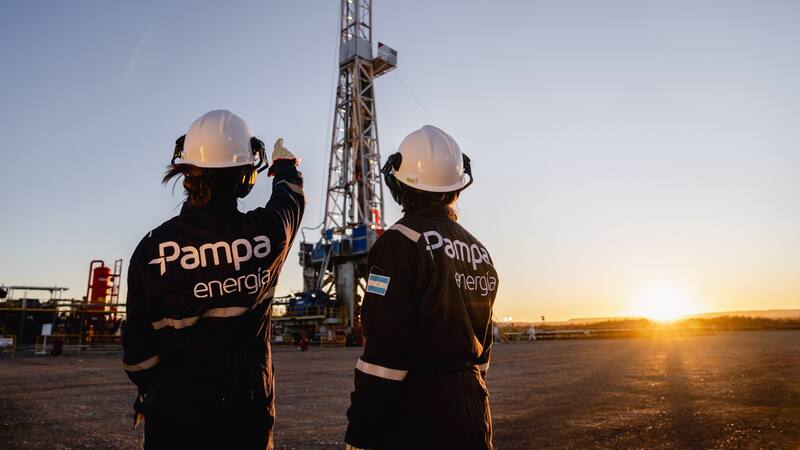 Con un nivel récord, Pampa Energía fue el mayor generador eléctrico de 2024