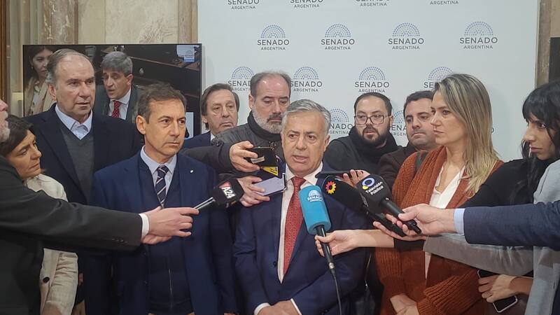 Cornejo le envió una nota a la vicepresidenta Cristina Kirchner.