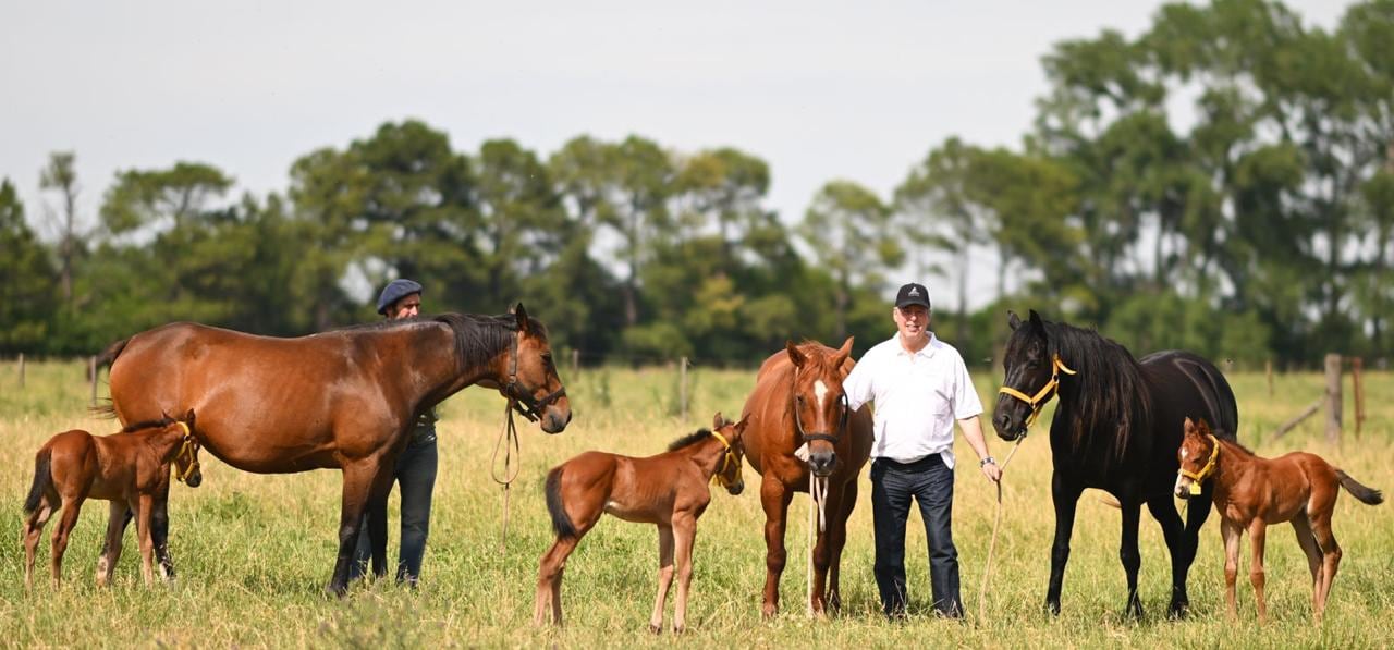 Clonaron una yegua de polo en Areco, la llamaron Silvina Luna y ahora están en la mira de EE.UU.