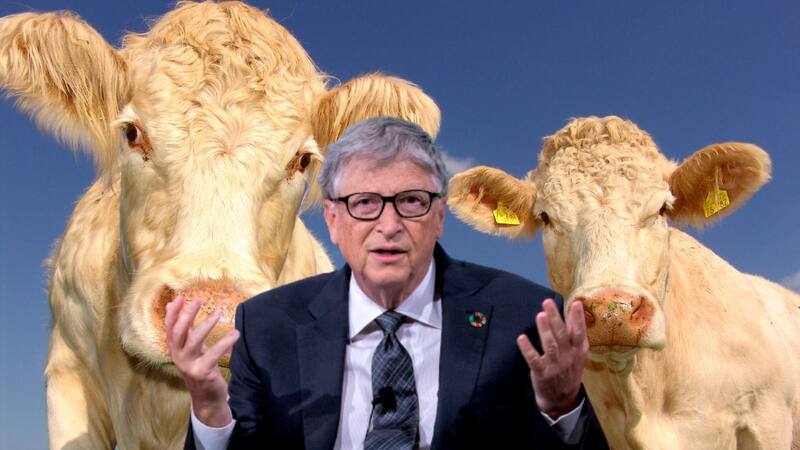 El fondo de Bill Gates invirtió en la australiana Rumin8.