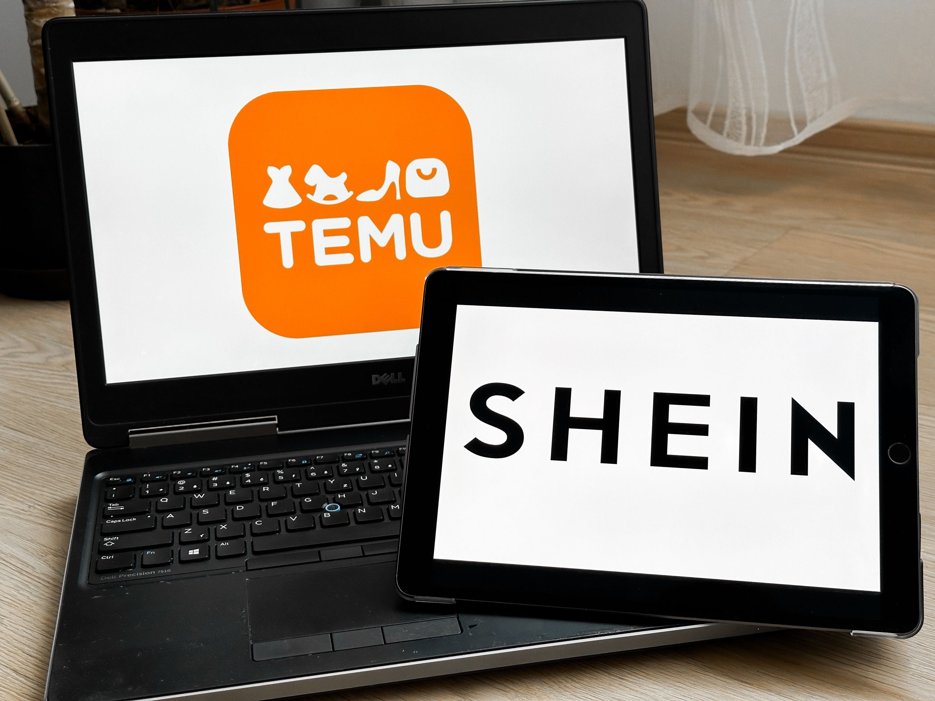 Ni Temu ni Shein: cuál es el canal que más eligen los argentinos para comprar online y comparar precios