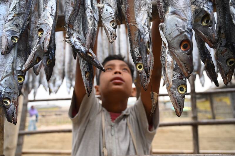 El compuesto cancerígeno se puede encontrar en pescados. Fuente: Pixabay.