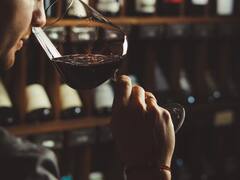 La pérdida de olfato de los enólogos, un inesperado problema para las bodegas