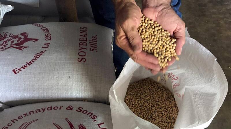 El Gobierno oficializó el martes nuevos gravámenes a la oleaginosa