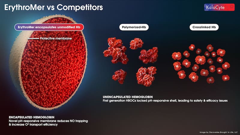 ErythroMer: una alternativa innovadora a las transfusiones de sangre. Fuente: Kalo Cyte.
