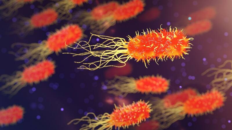 <div class="migrated-promo-image__description"><div class="migrated-promo-image__author">Pixabay</div></div>