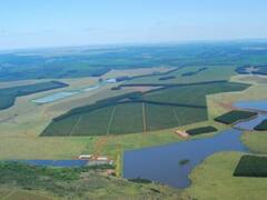 Produce una popular marca de yerba y ahora apuesta a otro 'cultivo' con potencial