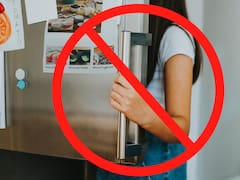 Devuelven el dinero a todos los consumidores que tengan en sus casas este famoso refrigerador: pueden sobrecalentarse e incendiarse