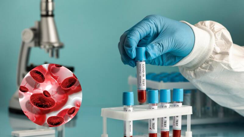 <div class="migrated-promo-image__description"><div class="migrated-promo-image__source">Fuente: Freepik</div></div>