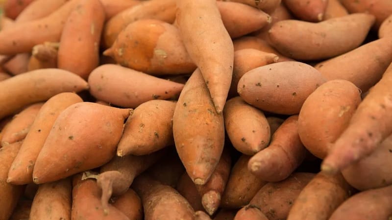 <div class="migrated-promo-image__description"><div class="migrated-promo-image__source">Fuente: Archivo</div></div>