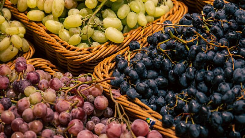 <div class="migrated-promo-image__description"><div class="migrated-promo-image__source">Fuente: Freepik</div></div>