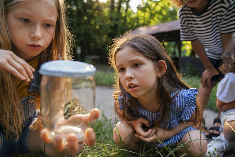 Los ionsectos ayudan a mantener la salud del ambiente y afectan a otras especies. (Foto: Freepik)