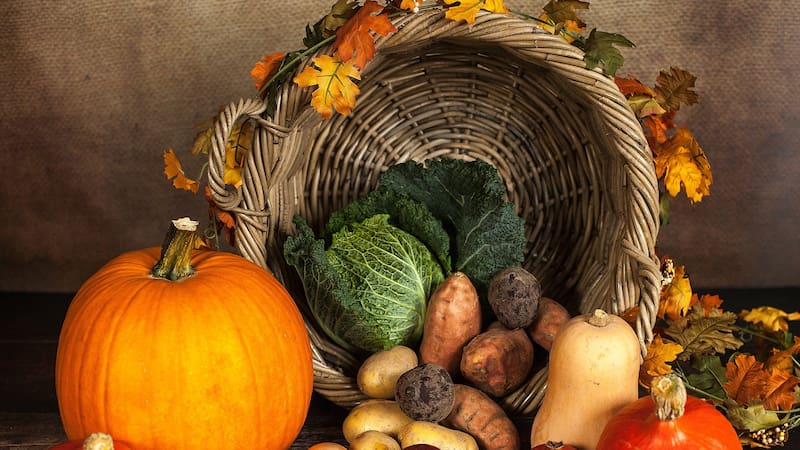 <div class="migrated-promo-image__description"><div class="migrated-promo-image__source">Fuente: Pixabay</div></div>