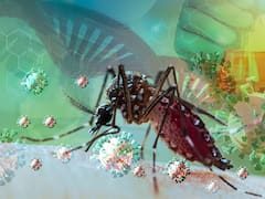 Científicos argentinos descubrieron qué insecticida mata a los mosquitos del dengue y es 100% eficaz