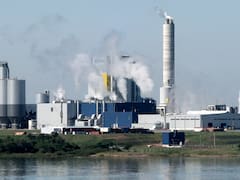 El gobierno de Mujica asegura que no habrá nuevas pasteras sobre el río Uruguay