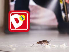Adiós a las cucarachas: D1 tiene el mejor producto para eliminarlas por menos de 7.500 pesos