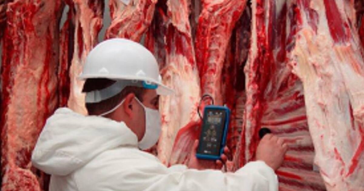 Extendieron el plazo de renuncia sin penalidad a la Cuota Hilton