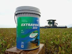 No todos los lubricantes sirven para lo mismo: cuál necesita cada motor para evitar problemas